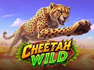 Cheetah Wild
